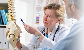 Anatomical Charts & Models Anatomical Charts & Models