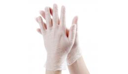 Vinyl Gloves