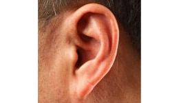 Ear