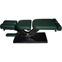 Eurotech Trademark Stationary Chiropractic Table