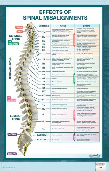 Effects of Spinal Misalignment