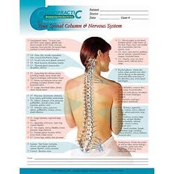 Vital Connect Spinal Poster Laminated 18X24