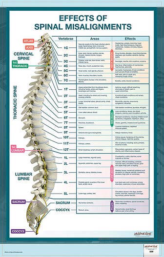 Effects of Spinal Misalignment