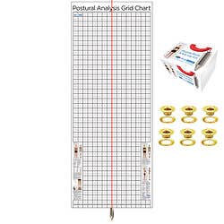 Kent Health Posture Analysis Grid Chart – Original with Grommets and Plumb Bob Kit