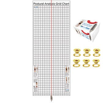 Kent Health Posture Analysis Grid Chart – Original with Grommets and Plumb Bob Kit