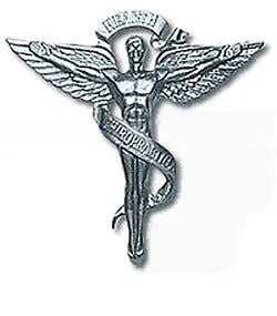Aluminum Chiropractic Emblem, 25" X 26.5"