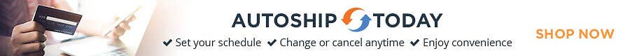 Auto Ship Today