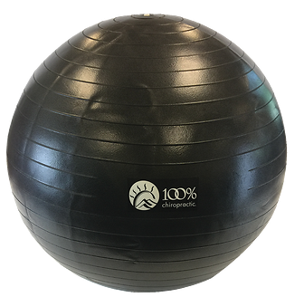 100% Chiropractic 65cm Exercise Ball Black