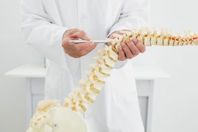 Guide to Chiropractic Care Chiropractic Care