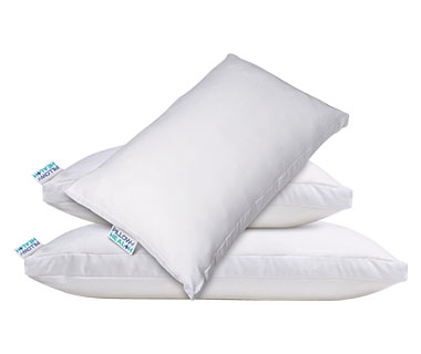 Pillow Buyers Guide